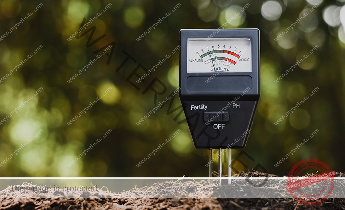 Soil pH testing equipment stuck in soil.