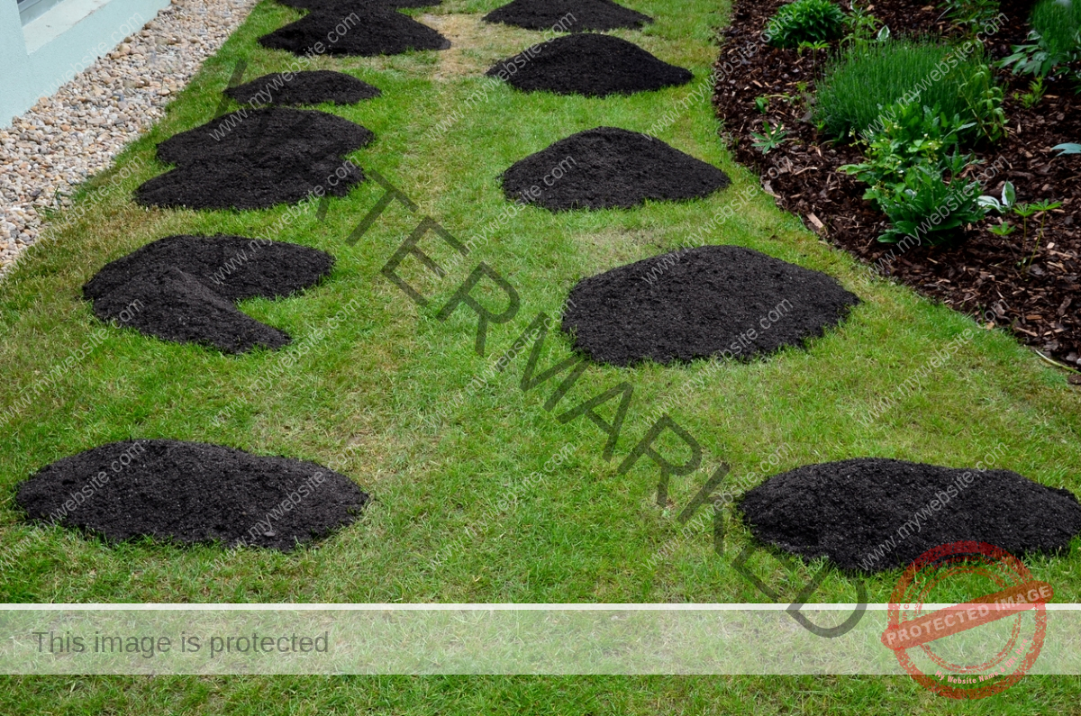 Manure piles on green lawn.