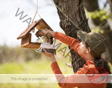 Adult woman putting bird seeds in a bird feeder hanging from a tree..