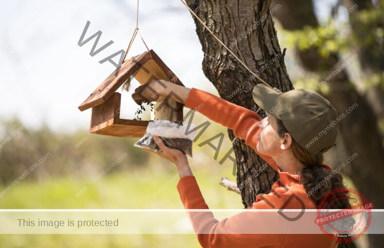 Adult woman putting bird seeds in a bird feeder hanging from a tree..