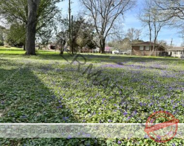 A large green courtyard with purple flowers throughout the lawn.